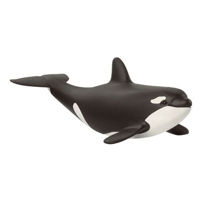 SCHLEICH Wild Life Baby Killer Whale Figura de juguete (14836)