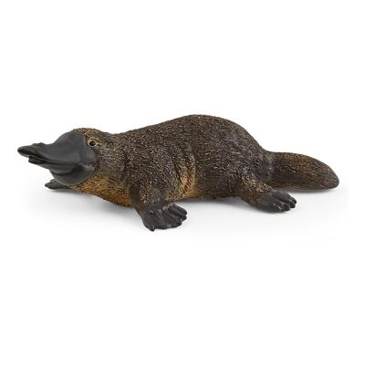 SCHLEICH Wild Life Platypus Spielfigur, 3 bis 8 Jahre, Schwarz/Braun (14840)