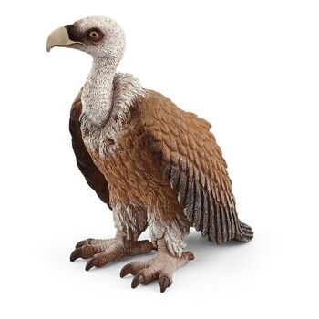 SCHLEICH Wild Life Vulture Toy Figure, 3 à 8 ans, Multicolore (14847)