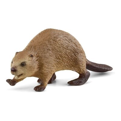 SCHLEICH Wild Life Beaver Toy Figure, da 3 a 8 anni, marrone chiaro (14855)