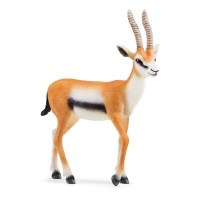 SCHLEICH Wild Life Thomson Gazelle Figura de Juguete, 3 a 8 años, Multicolor (14861)