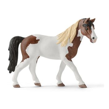 SCHLEICH Horse Club Hannah's Western Riding Set Toy Playset, 5 à 12 ans, Multicolore (42441) 4