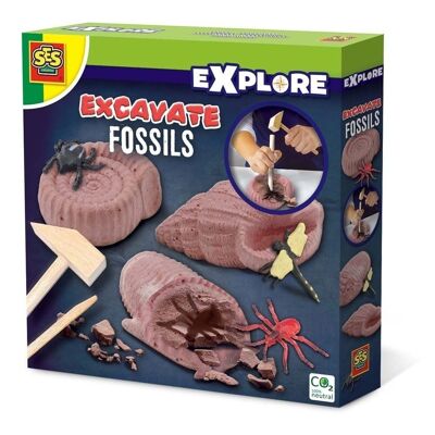 SES CREATIVE Explore Excavate Fossils für Kinder, Unisex, ab vier Jahren, mehrfarbig (25066)