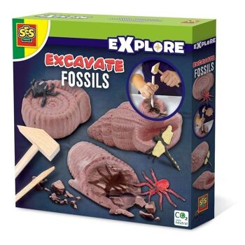 SES CREATIVE Explore Excavate Fossiles pour enfants, unisexe, quatre ans et plus, multicolore (25066) 1