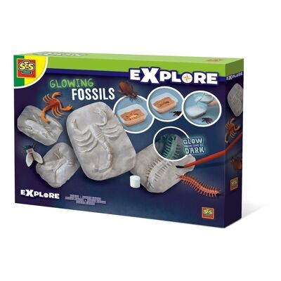SES CREATIVE Explore Glow-in-the-Dark leuchtende Fossilien-Spielset für Kinder, Unisex, ab 5 Jahren, mehrfarbig (25073)