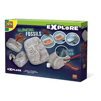 SES CREATIVE Ensemble de jeu de fossiles lumineux Glow-in-the-Dark pour enfants, unisexe, 5 ans ou plus, multicolore (25073) 1