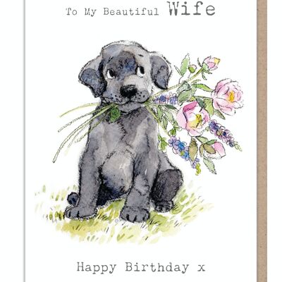 Wife Birthday card - ABE043