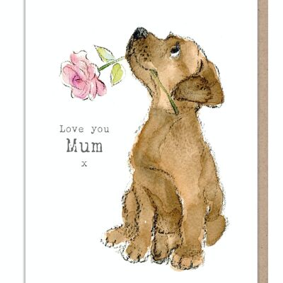 Mum Birthday Card - ABE015