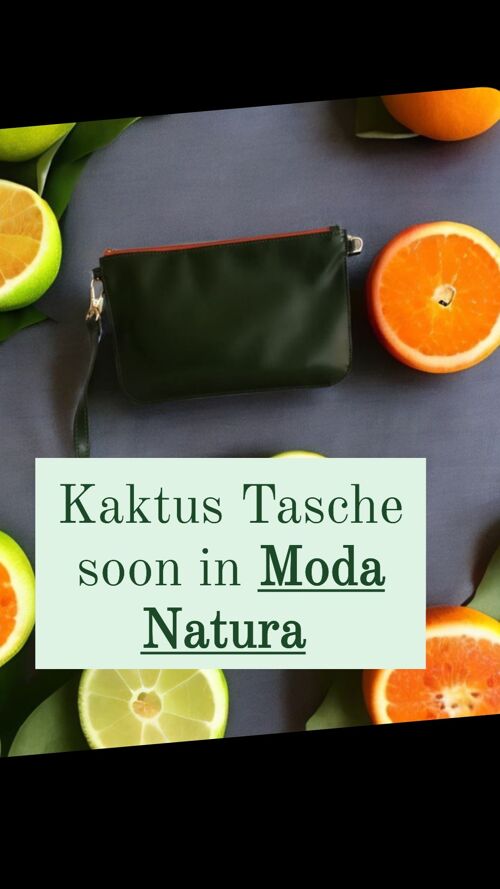 Kaktus Tasche