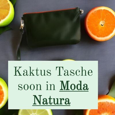 Kaktus Tasche