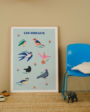 Affiche pédagogique - décoration enfant - Les oiseaux 2