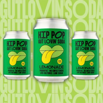 Hip Pop Gut Lovin' Soda - Caisse mixte - 24 canettes de 330 ml 3