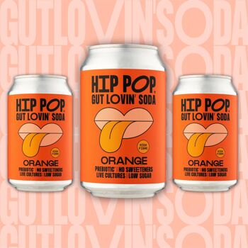 Hip Pop Gut Lovin' Soda - Saveur Orange - 12 canettes de 330 ml 2