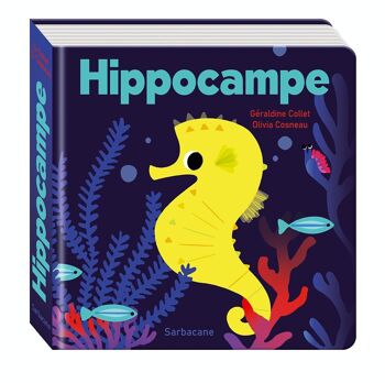 Hippocampe 1
