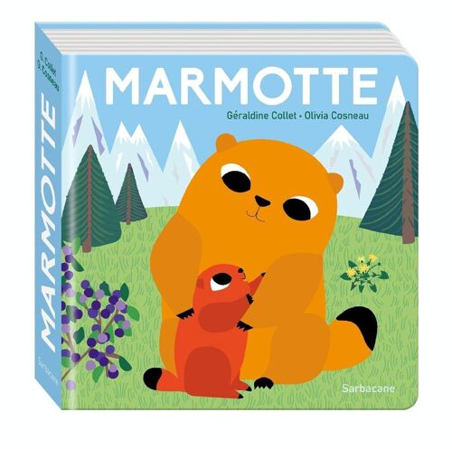 Marmotte