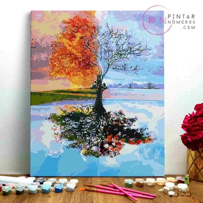 PAINTING BY NUMBERS ® - Albero delle quattro stagioni - (Paint by Numbers Framed 40x50cm)