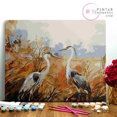 PAINTING BY NUMBERS ® - Uccelli nel fiume - (Paint by Numbers Framed 40x50cm)