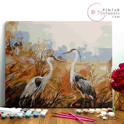 PINTURA POR NÚMEROS ® - Aves en el rio - (Paint by Numbers Framed 40x50cm)