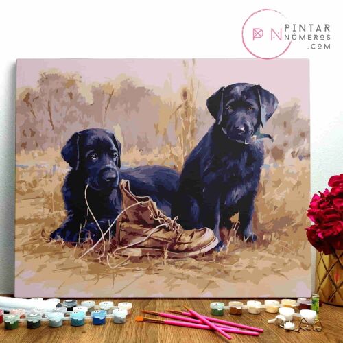 PINTURA POR NÚMEROS ® - Cachorros jugando con zapato - (Paint by Numbers Framed 40x50cm)