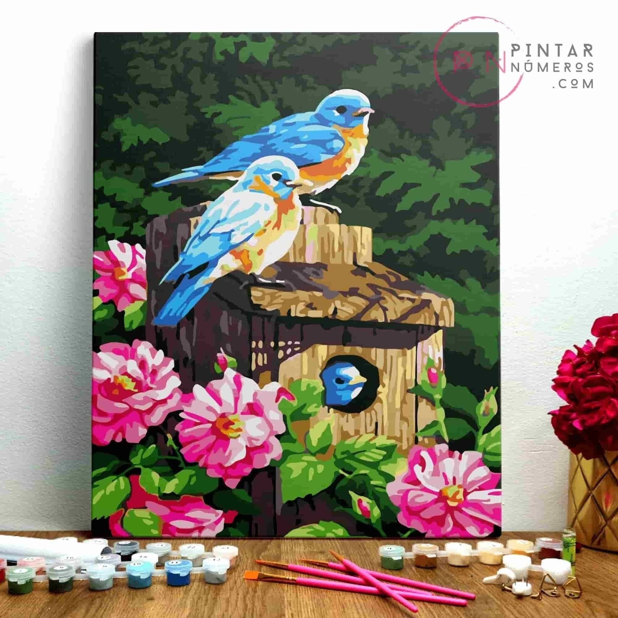 PINTURA POR NÚMEROS ® - Casa de Pájaros - (Paint by Numbers Framed 40x50cm)
