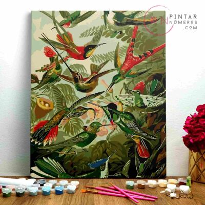 PAINTING BY NUMBERS ® - Colibrì di Ernst Haeckel - (Paint by Numbers Framed 40x50cm)