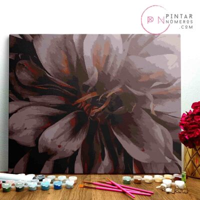 PEINTURE PAR NUMÉROS ® - Coeur floral - (Peinture par Numéros Encadrée 40x50cm)