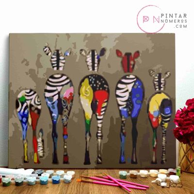 PINTURA POR NÚMEROS ® - Culos de zebras de colores - (Paint by Numbers Framed 40x50cm)