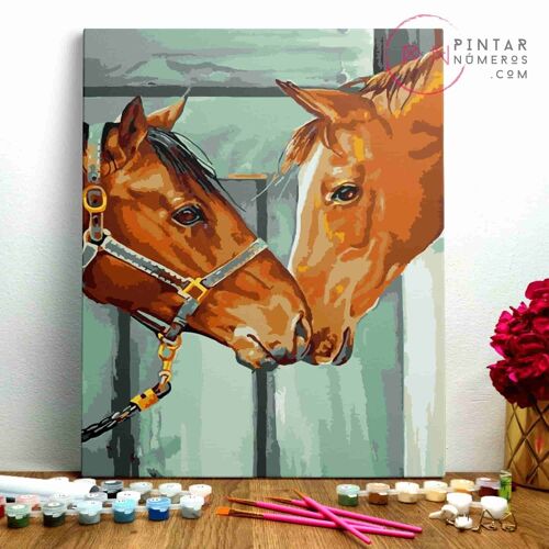 PINTURA POR NÚMEROS ® - Dos caballos en el establo - (Paint by Numbers Framed 40x50cm)