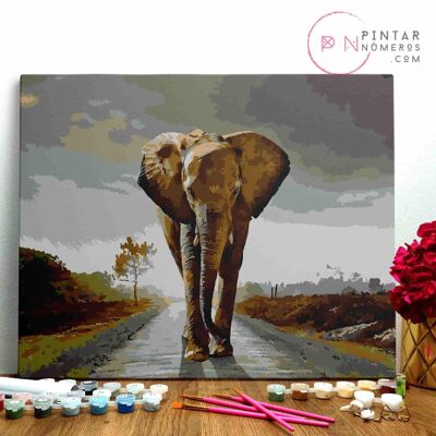 PINTURA POR NÚMEROS ® - Elefante caminando - (Paint by Numbers Framed 40x50cm)