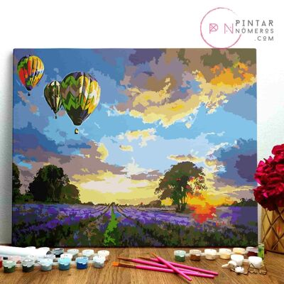 PAINTING BY NUMBERS ® - Balloons over field - (Paint by Numbers Framed 40x50cm)
