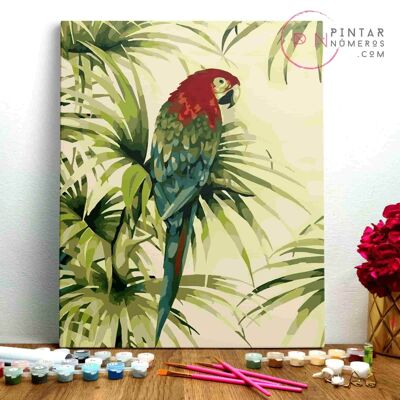 PAINTING BY NUMBERS ® - Tropical parrot - (Paint by Numbers Framed 40x50cm)