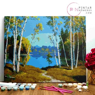 PAINTING BY NUMBERS ® - Landscape with trees - (Paint by Numbers Framed 40x50cm)