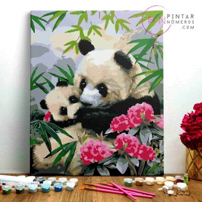 PEINTURE PAR NUMÉROS ® - Pandas couchés - (Peinture par Numéros Encadrée 40x50cm)