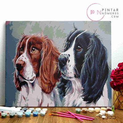 PAINTING BY NUMBERS ® - Hunting dogs - (Paint by Numbers Framed 40x50cm)