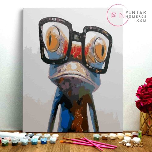 PINTURA POR NÚMEROS ® - Rana con Gafas - (Paint by Numbers Framed 40x50cm)