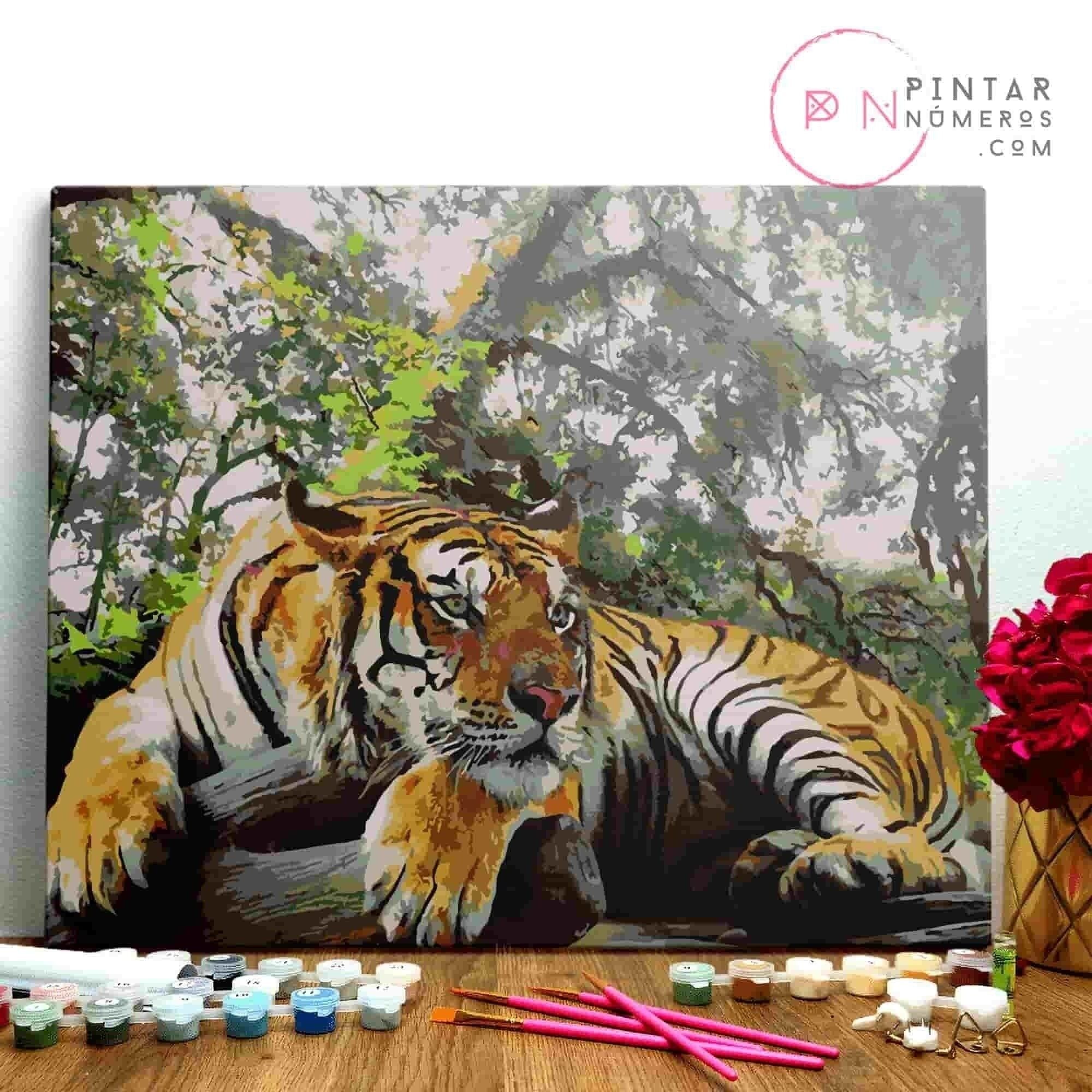 MALE NACH ZAHLEN ® - Ruhender Tiger - (Malen nach Zahlen gerahmt 40x50cm)