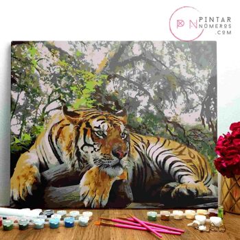 PEINTURE PAR NUMÉROS ® - Tigre au repos - (Peinture par Numéros Encadrée 40x50cm) 1