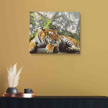 PEINTURE PAR NUMÉROS ® - Tigre au repos - (Peinture par Numéros Encadrée 40x50cm) 2