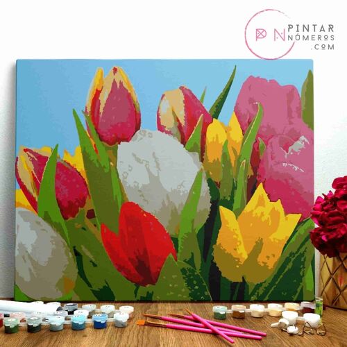 PINTURA POR NÚMEROS ® - Tulipanes de colores - (Paint by Numbers Framed 40x50cm)