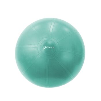 ballon de yoga 65cm 1