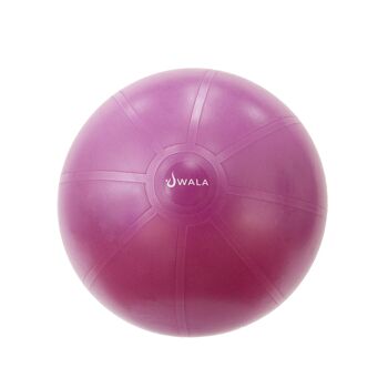 ballon de yoga 65cm 2