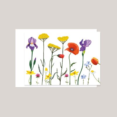Grußkarte »Wildblumen«