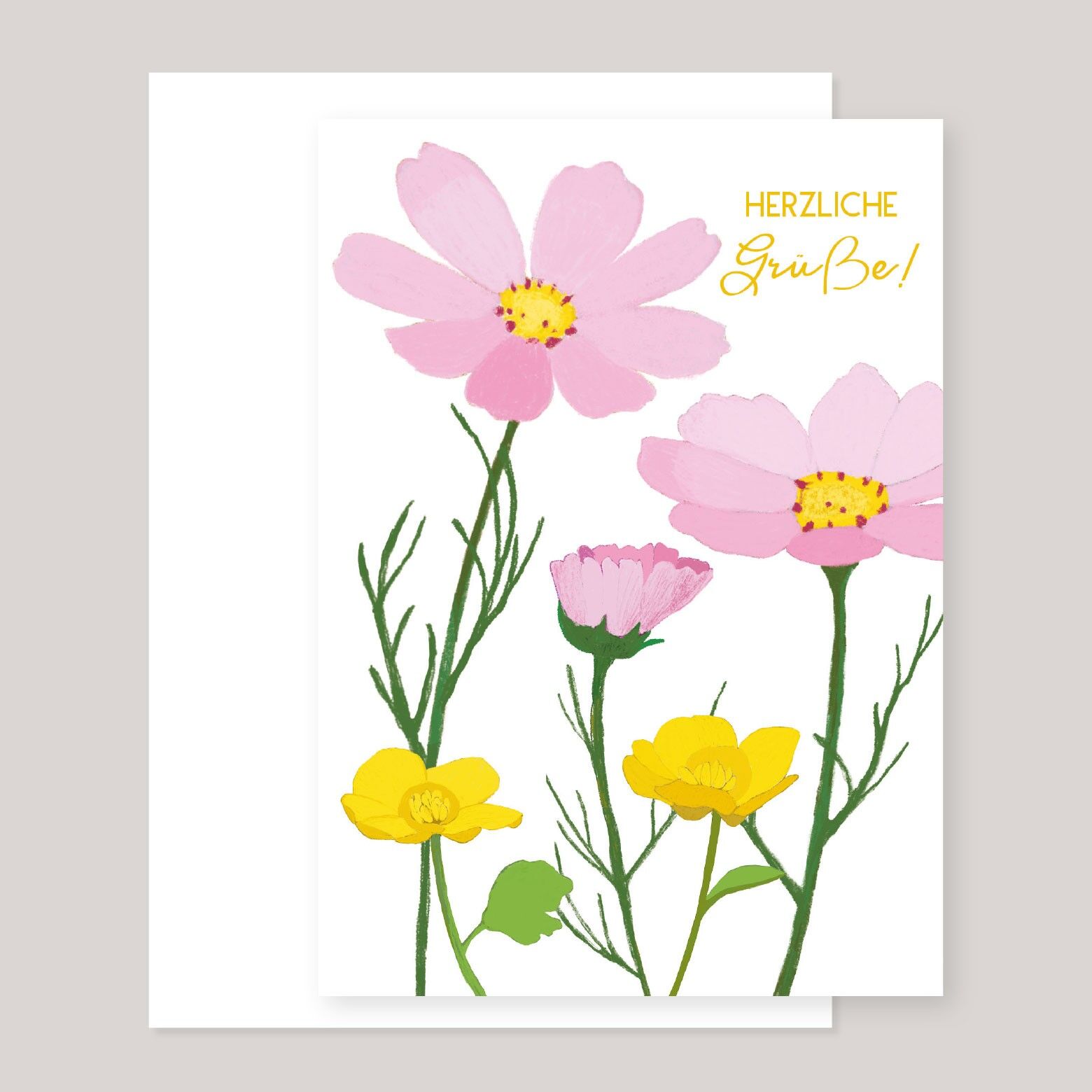 Greeting card »Best regards! | Cosmea«