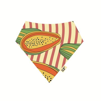 Pre-Order Papayas Bandana Bib