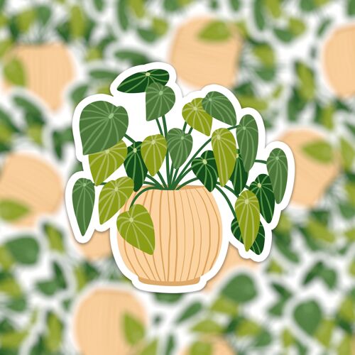 Vinyl sticker plant 3