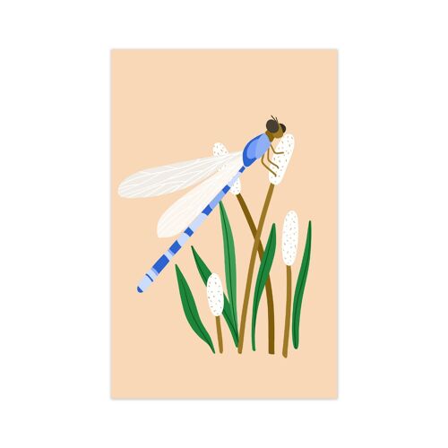 Minicard/gift tag dragonfly/damselfy