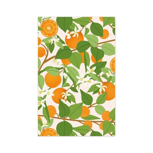 Minicard/gift tag oranges fruit