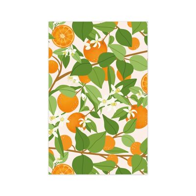 Minicard/Geschenkanhänger Orangen Obst
