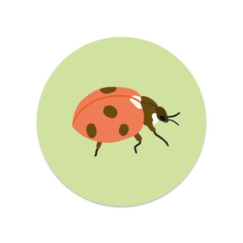Round sticker Ladybird