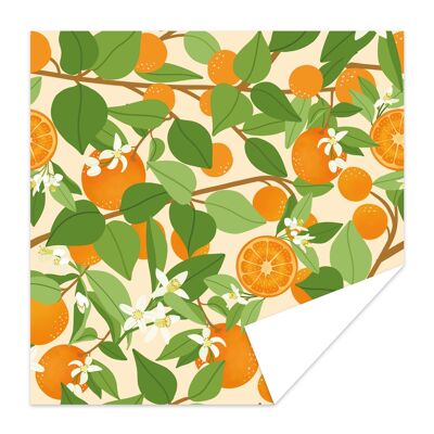 Luxus-Geschenkpapier - Orangen